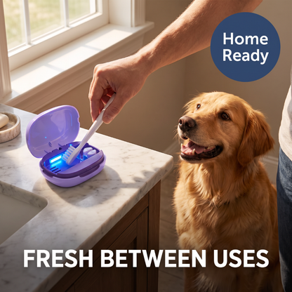Chevaroo UV Toothbrush for Dog