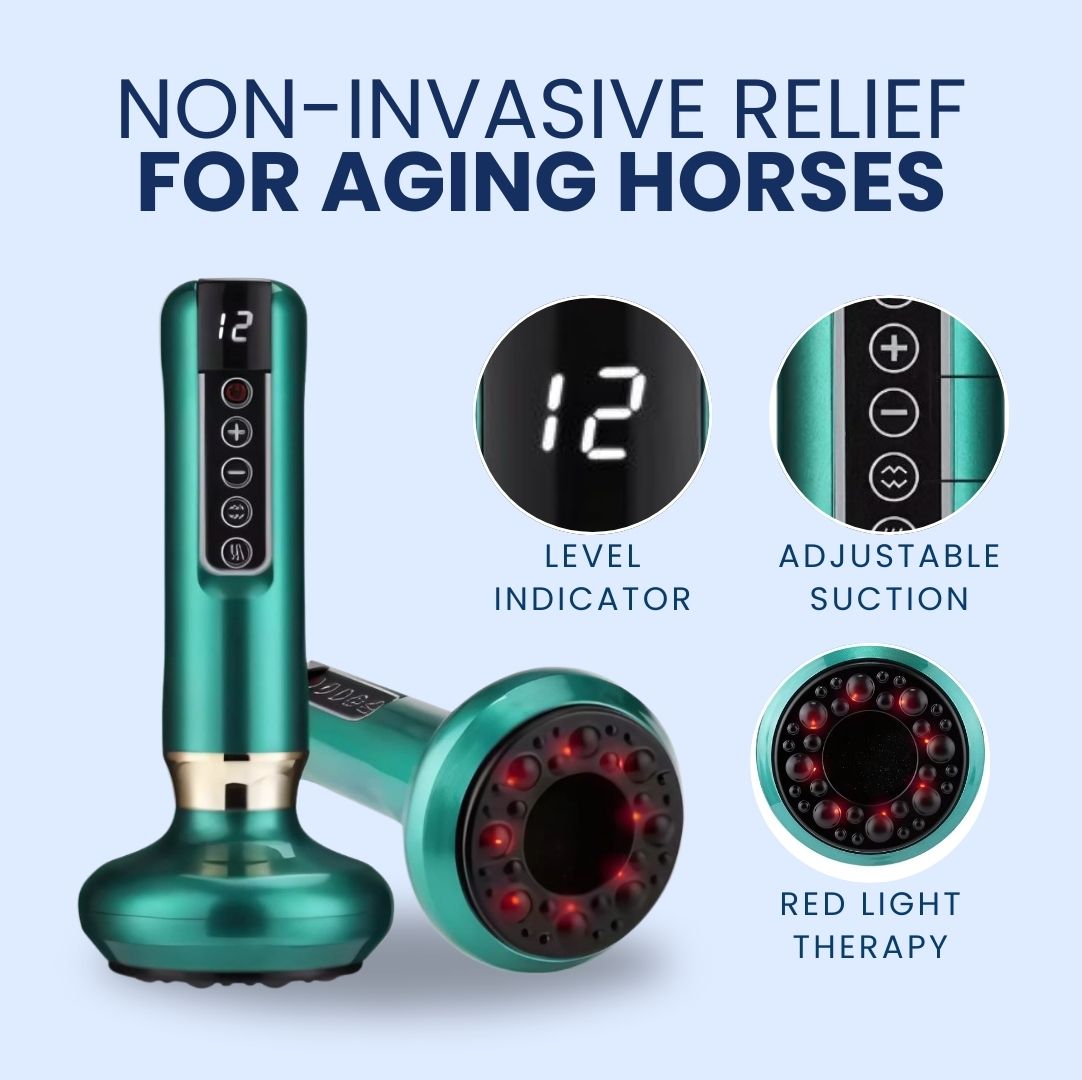 Chevaroo Horse Rotlicht-Schröpftherapie