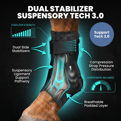 Chevaroo Suspensory Ligament Stability Boot 3.0