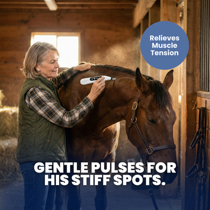 Chevaroo Electronic Acupuncture