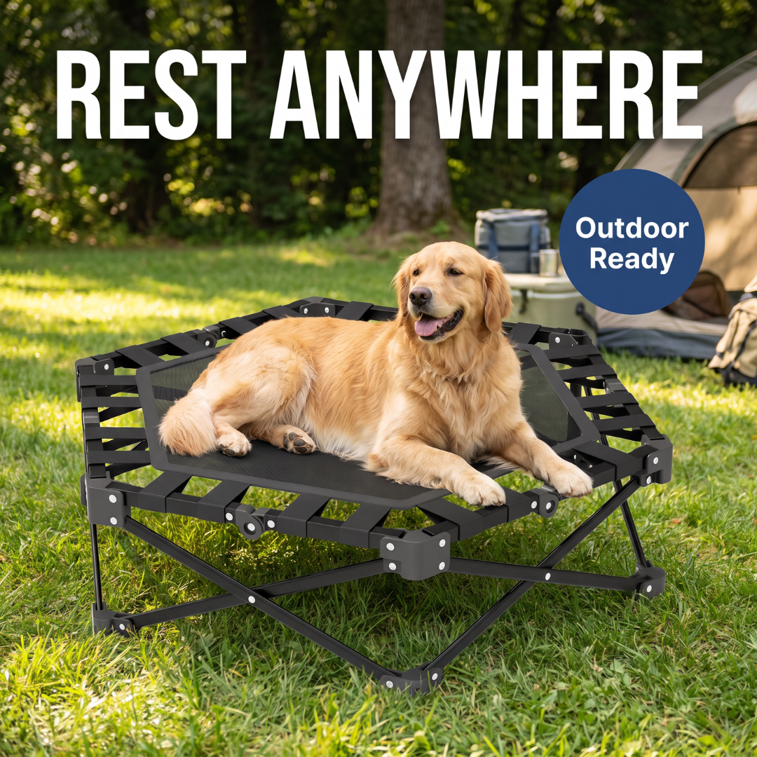 Chevaroo Indoor & Outdoor Elevated Foldable Dog Bed