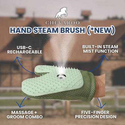 Chevaroo Hand Steam Brush