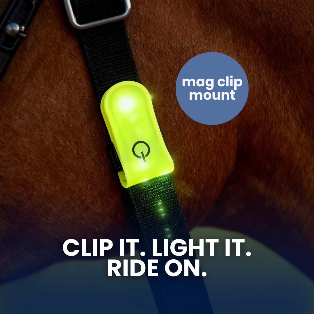 Chevaroo LED Reins/Straps Clip On