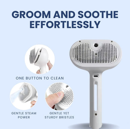 Chevaroo Steam Brush 2E Generation