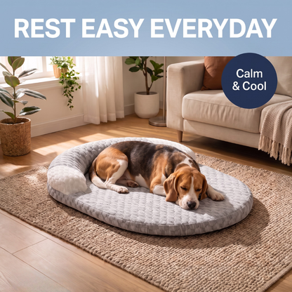 Chevaroo Lavender-Filled Pillow Calming Dog Bed