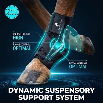 Chevaroo Suspensory Ligament Stability Boot