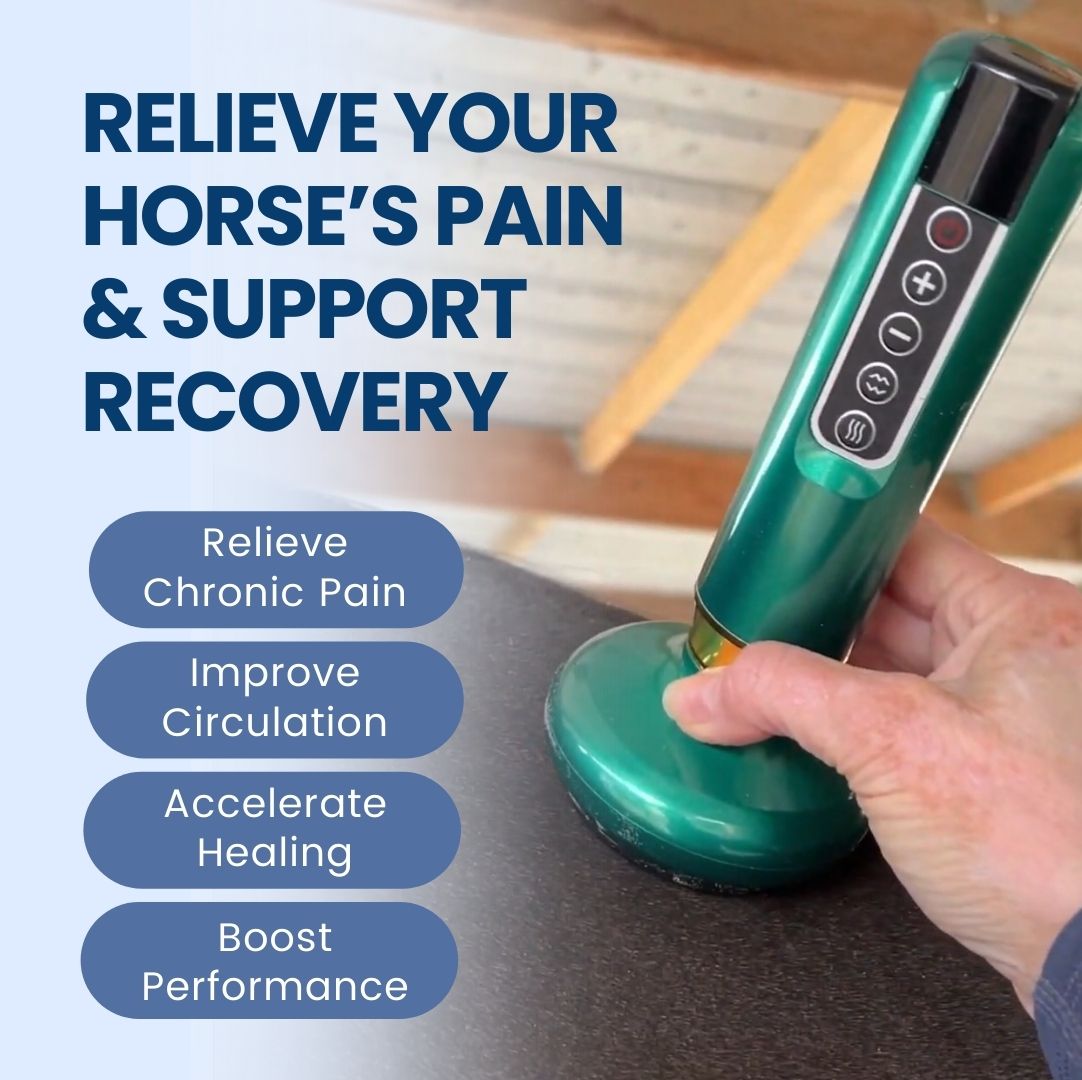 Chevaroo Horse Rotlicht-Schröpftherapie