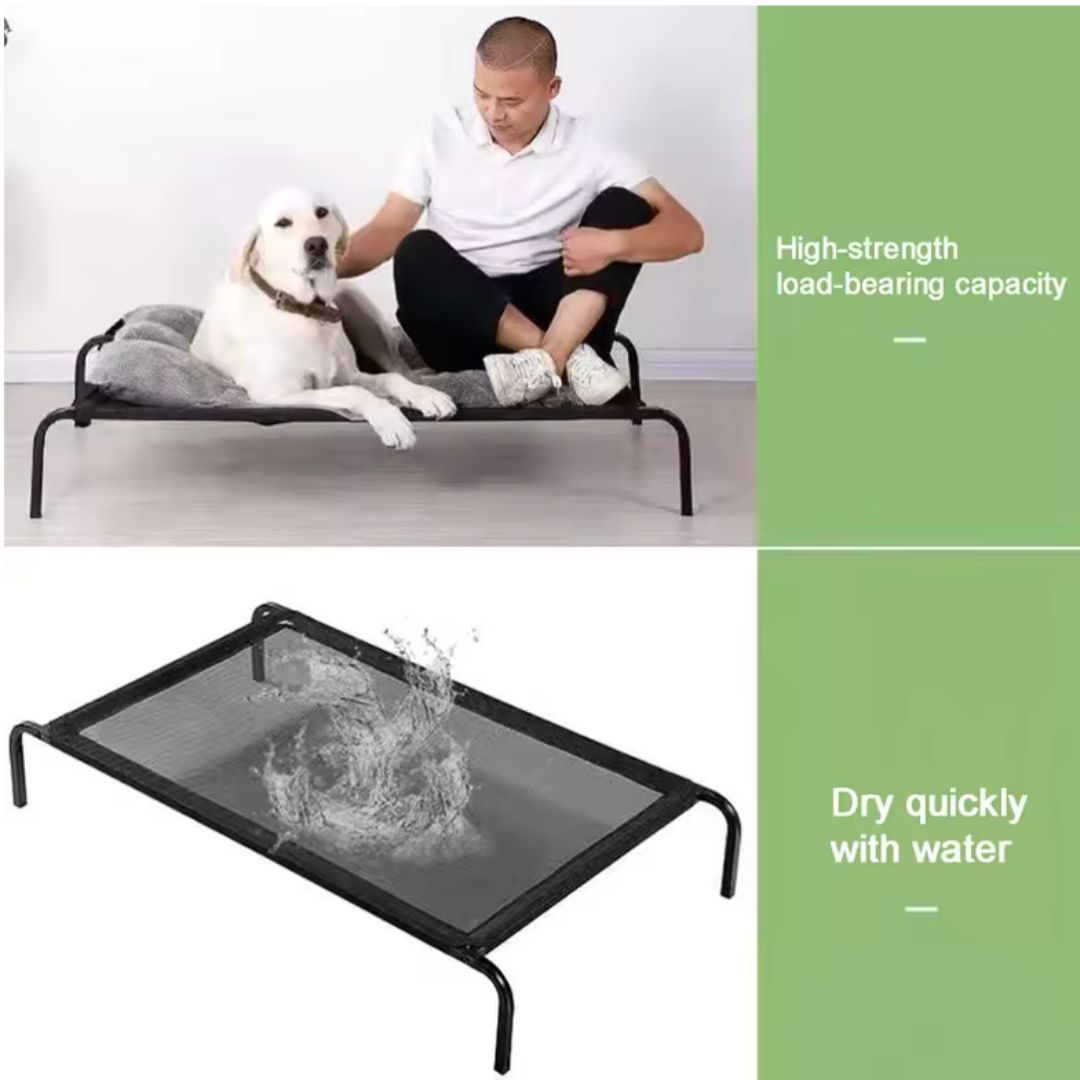 Chevaroo Elevated Orthopedic Dog Bed