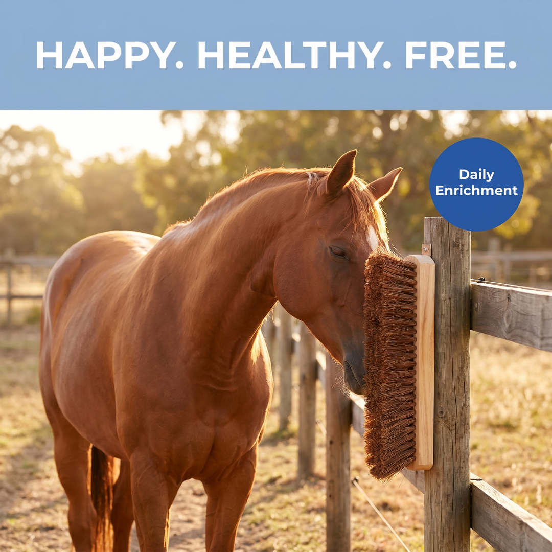 Chevaroo Horse Scratcher 2.0
