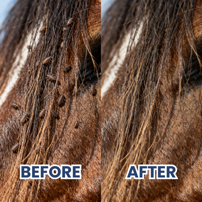 Chevaroo Parasite Brush 2.0