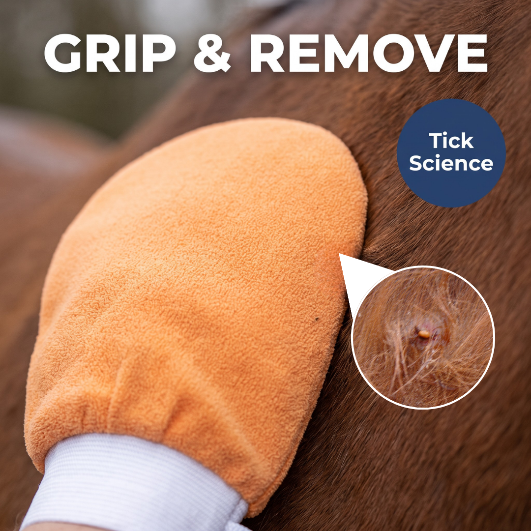 Chevaroo Horse Tick Gloves