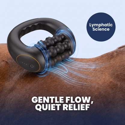 Chevaroo Lymphatic Silent Massager