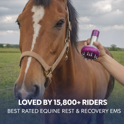 Chevaroo Equine Rest & Recovery EMS
