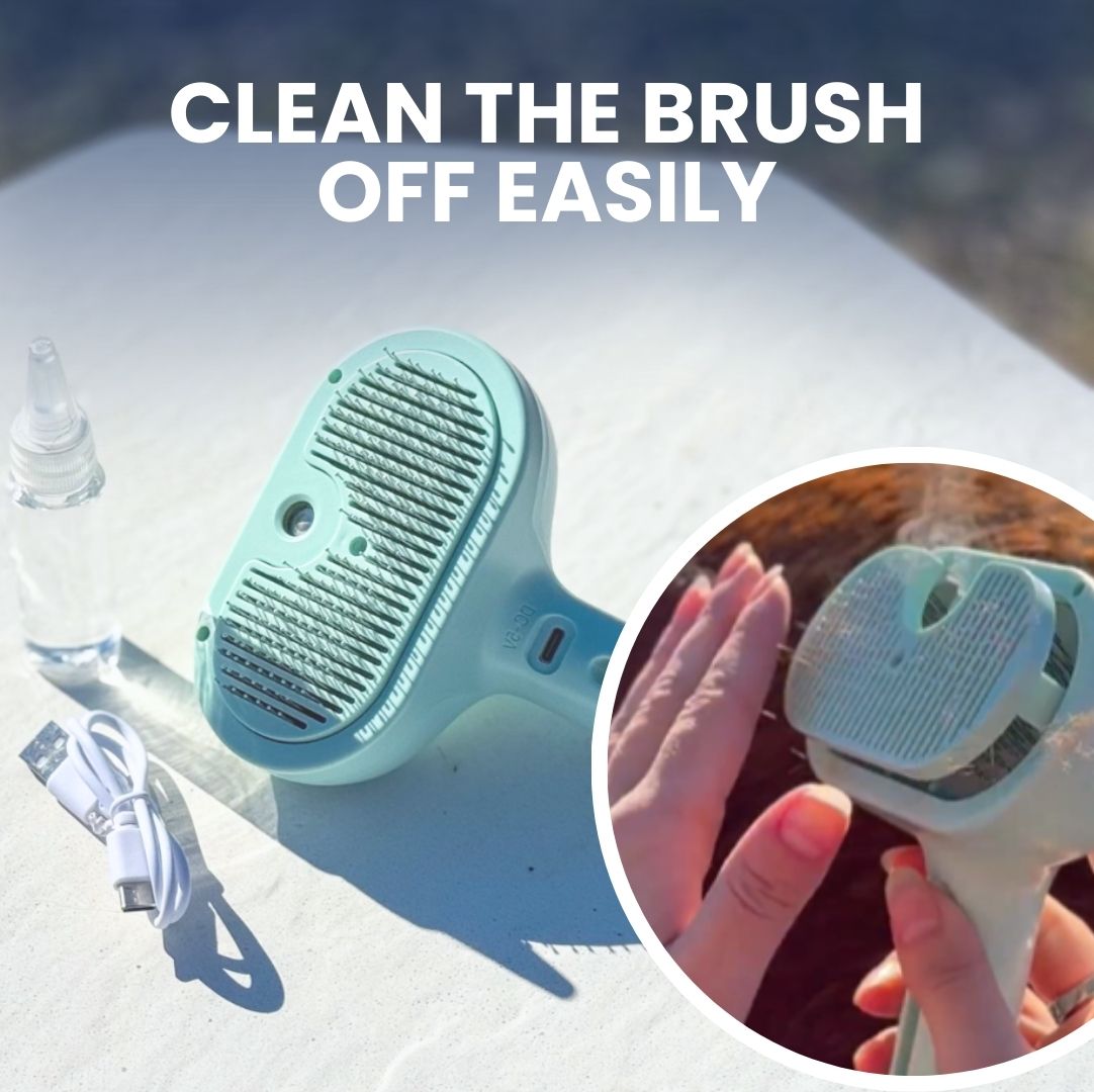 Chevaroo Steam Brush 2E Generation