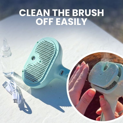 Chevaroo Steam Brush 2E Generation