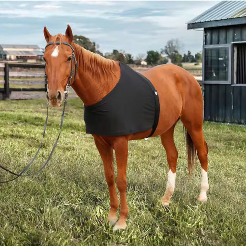 Chevaroo Horse Back Posture Corrector