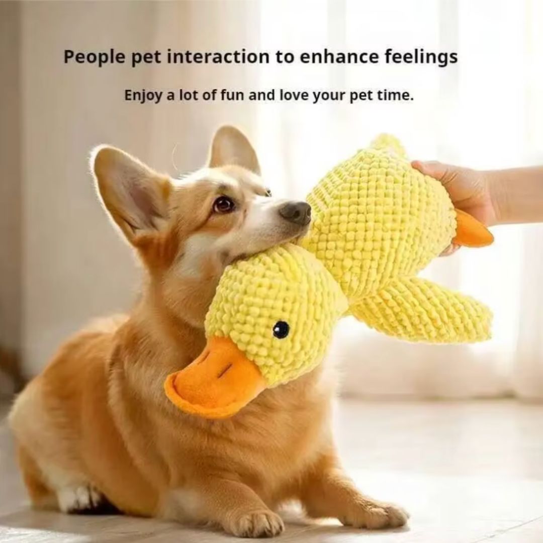 Chevaroo Heartbeat Dog Calming Duck