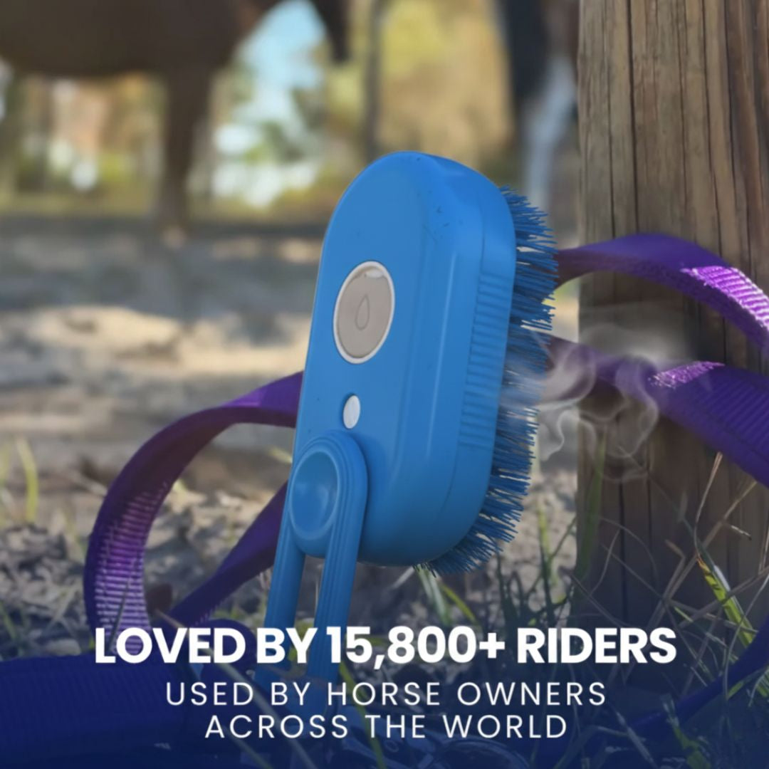 Chevaroo Magic Steam Brush