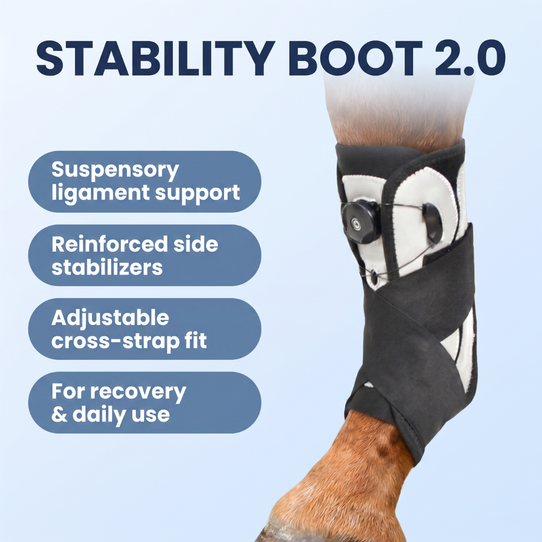 Chevaroo Suspensory Ligament Stability Boot 2.0