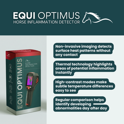 EquiOptimus AI Horse Inflammation Detector