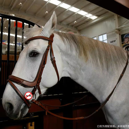 Chevaroo Gentle Nose Padded Bitless Bridle 2.0
