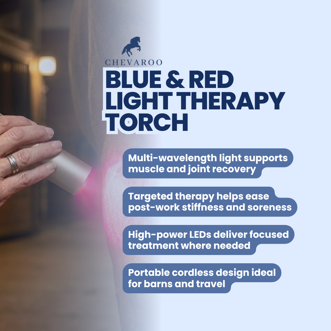 Chevaroo Blue & Red Light Therapy Torch