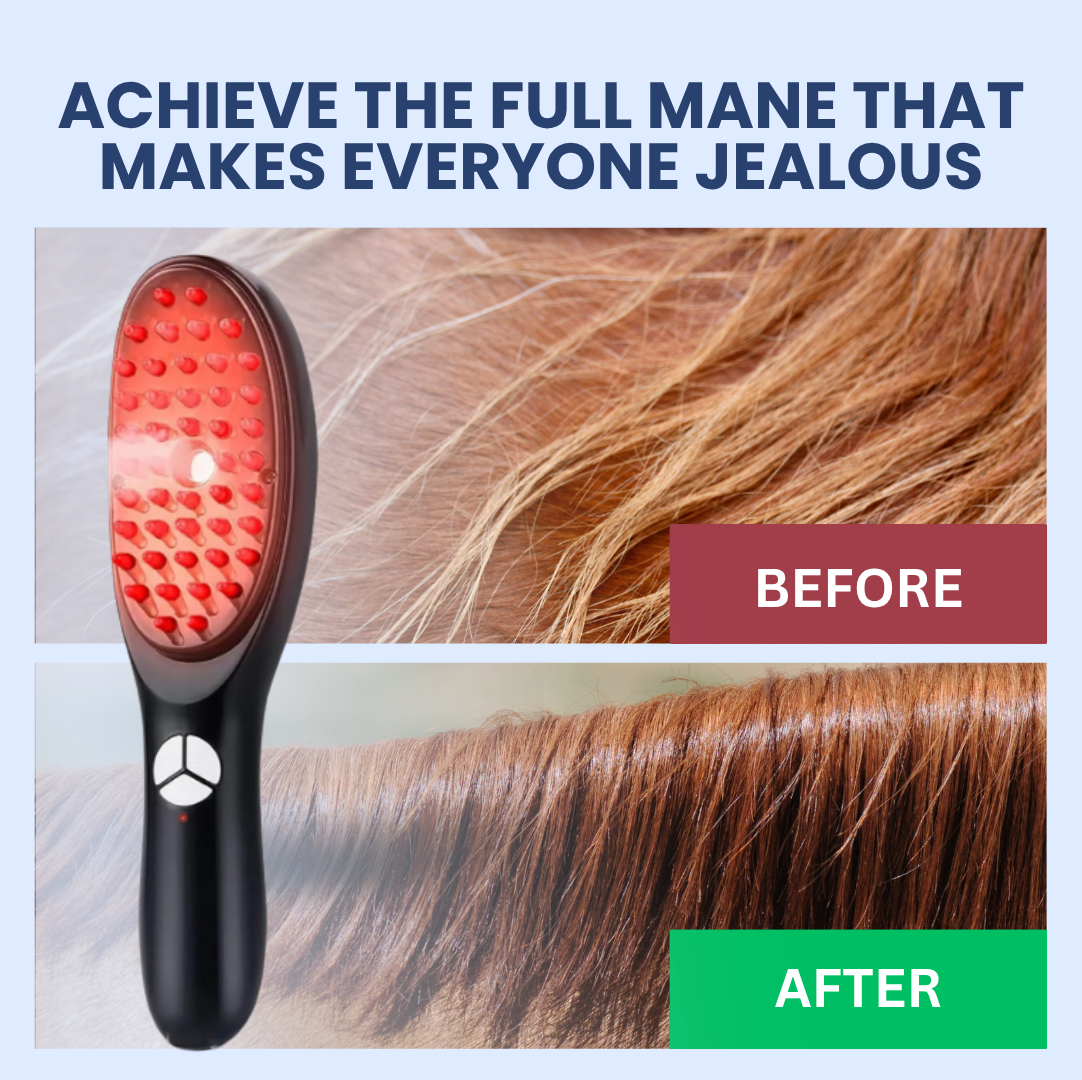 Chevaroo Red & Blue Light Steam Brush