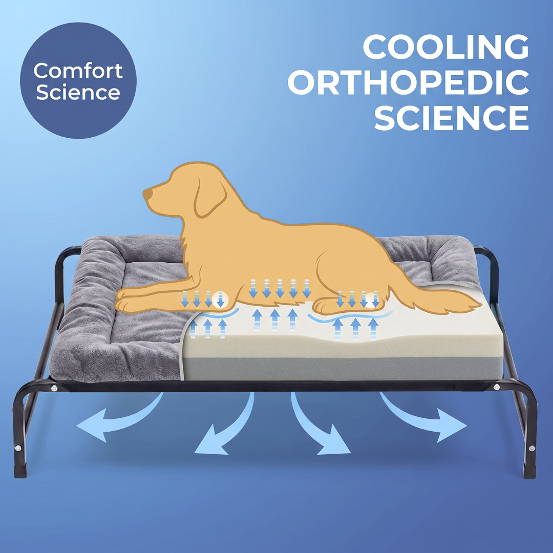 Chevaroo Elevated Orthopedic Dog Bed