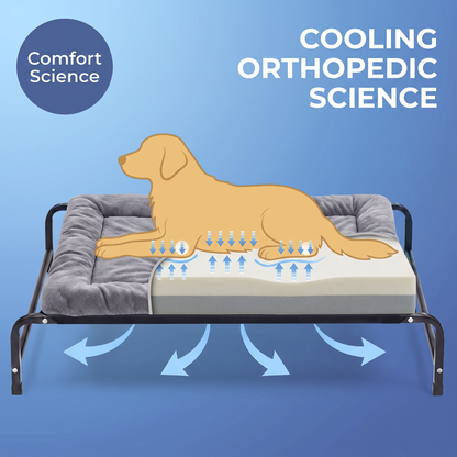 Chevaroo Elevated Orthopedic Dog Bed