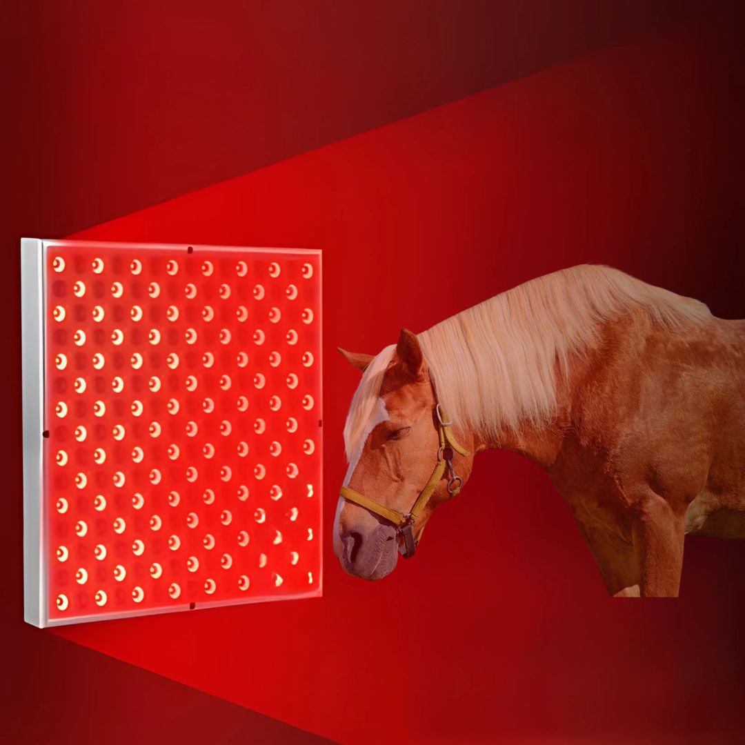 Chevaroo Red Light Suspended Pannel