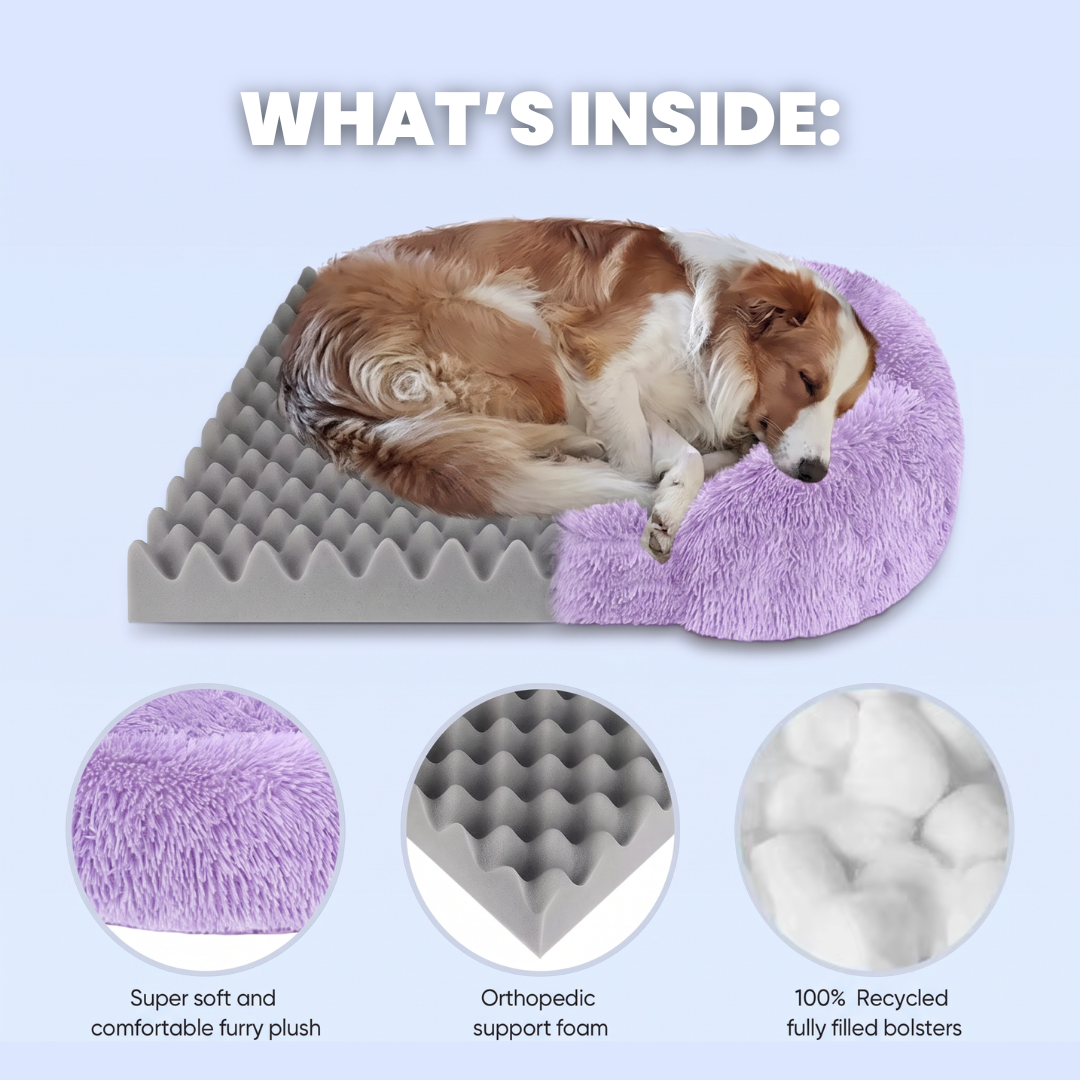 Chevaroo Lavender Calming Dog Bed