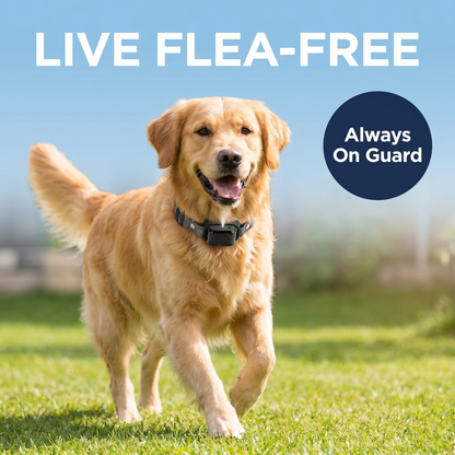 Chevaroo Dog Anti-Flea and Tick Spray Collar