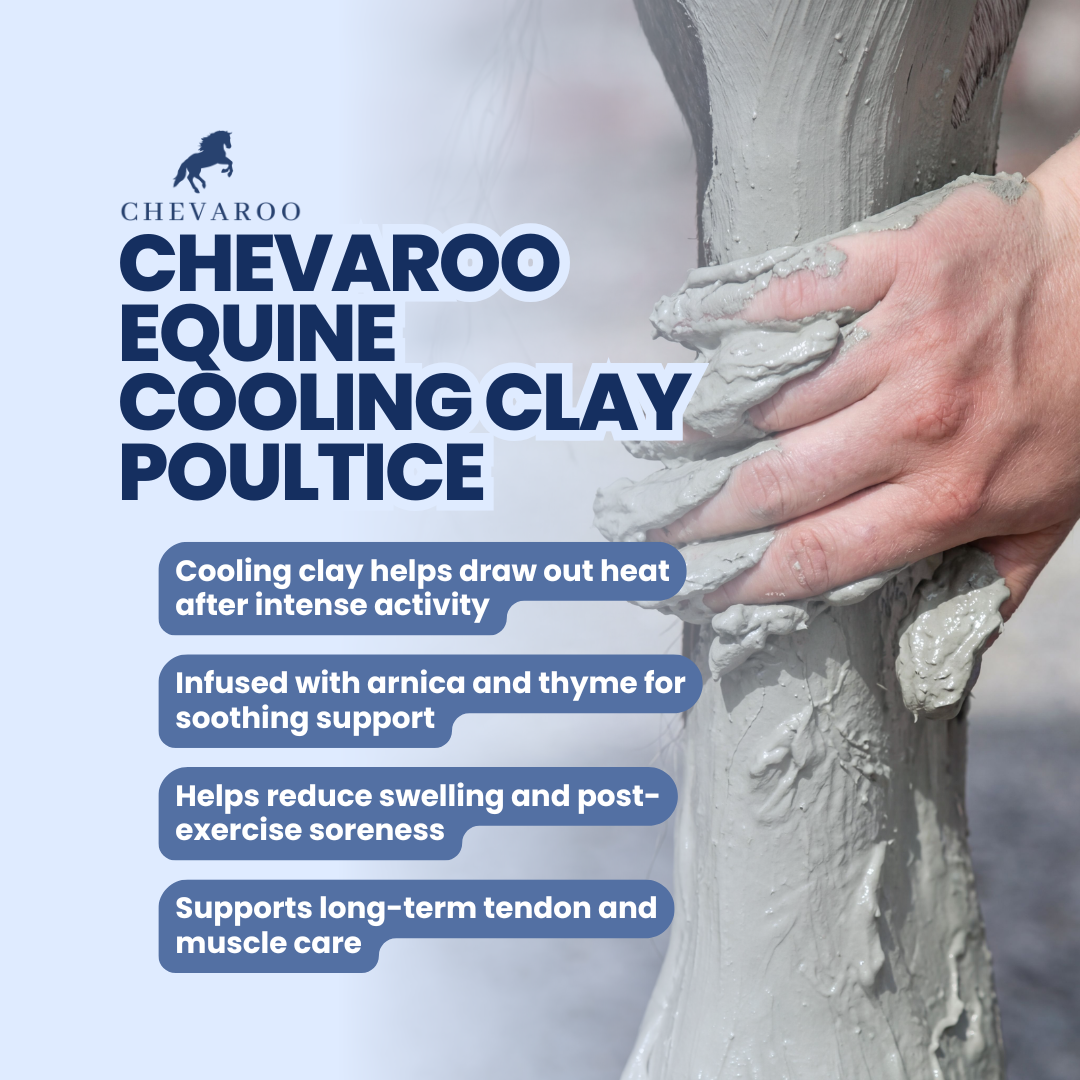 Chevaroo Equine Cooling Clay Poultice