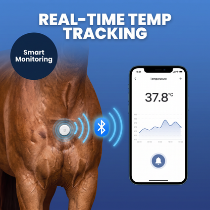 Chevaroo 24H Horse Thermometer
