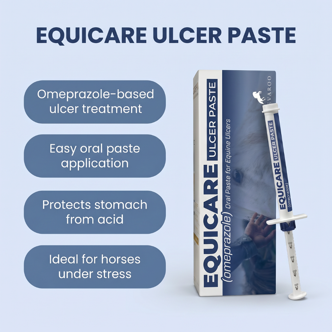 Chevaroo EquiCare Ulcer Paste