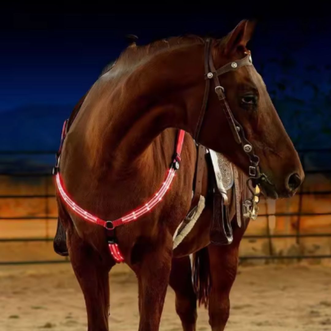 Chevaroo Horse LED harness