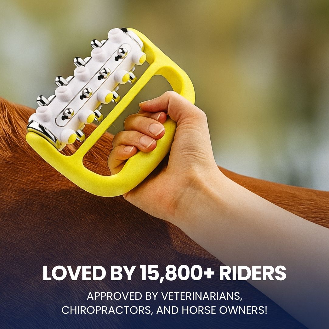 Chevaroo Roll-on Massager