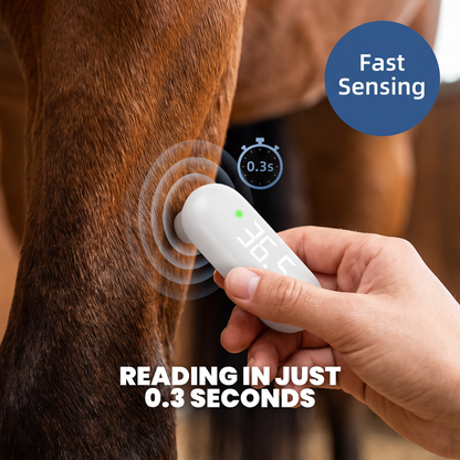 Chevaroo Instant Touch Horse Thermometer