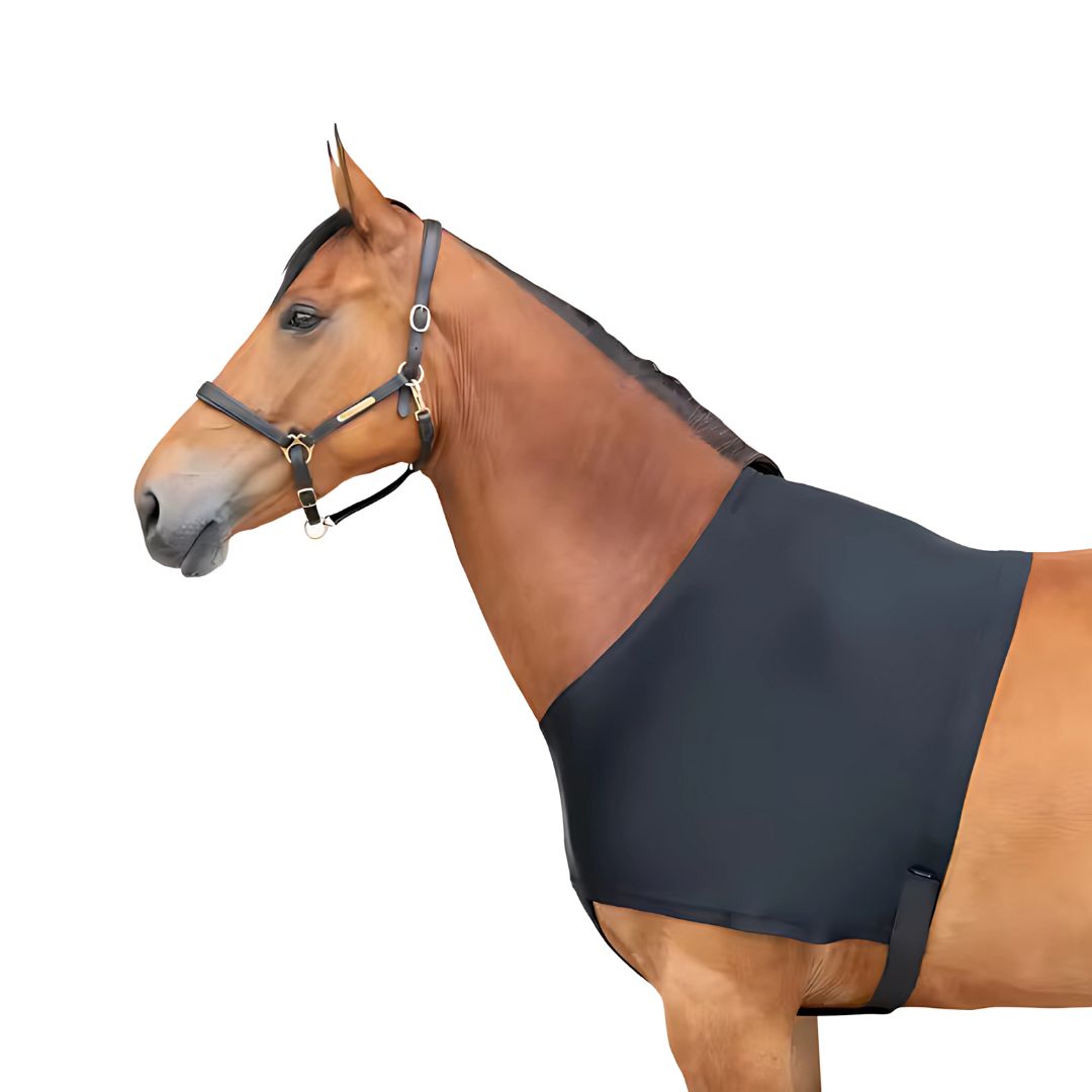 Chevaroo Horse Posture Corrector