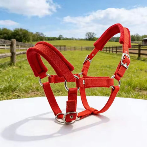 Chevaroo Gentle Nose Padded Bitless Bridle 2.0