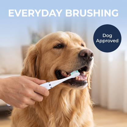 Chevaroo 2-in-1 Ultrasonic Dog Plaque Remover