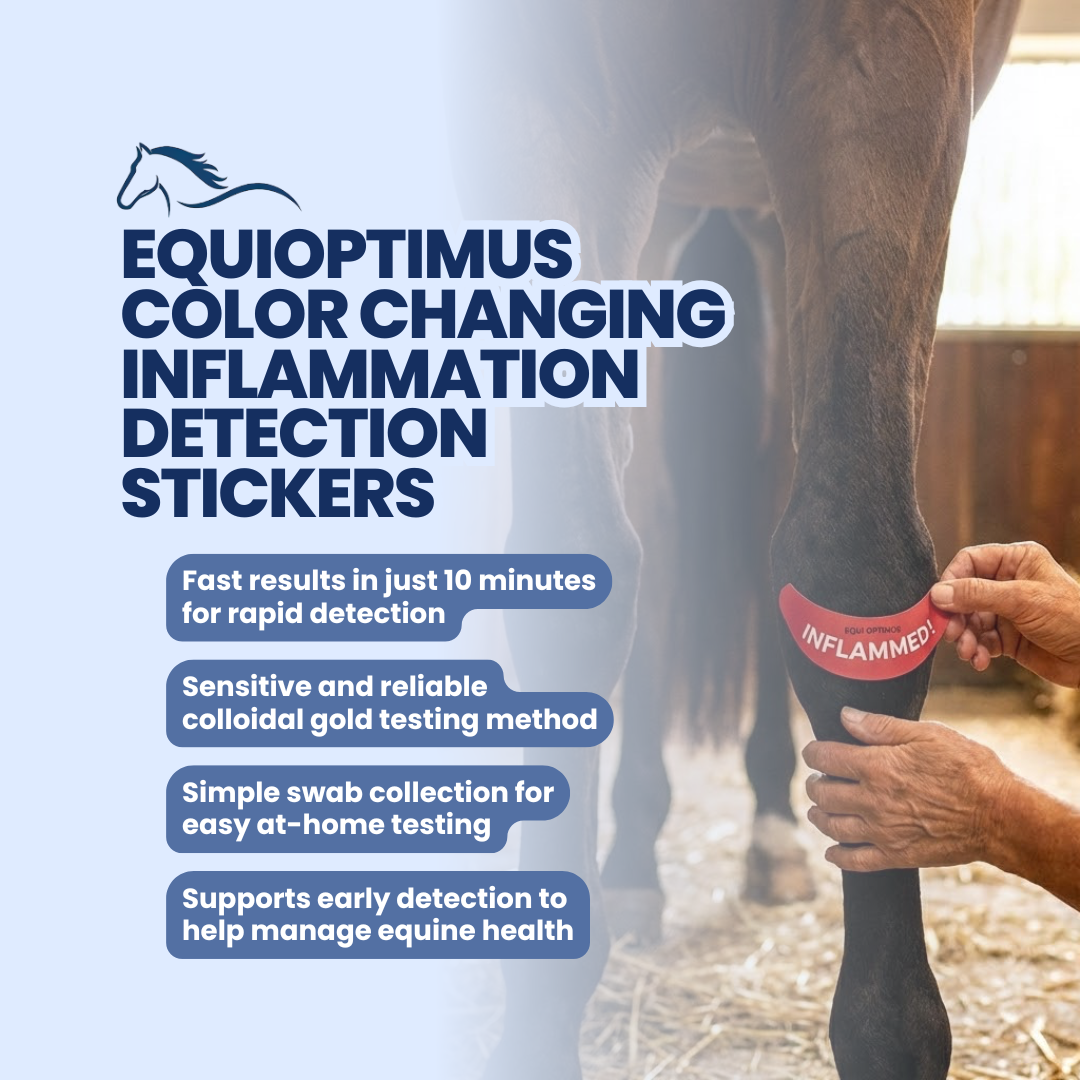 Autocollants de détection de l'inflammation à changement de couleur EquiOptimus