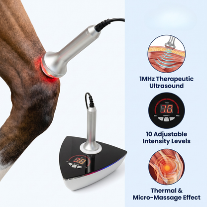 Chevaroo Ultrasound Pain Relief Device