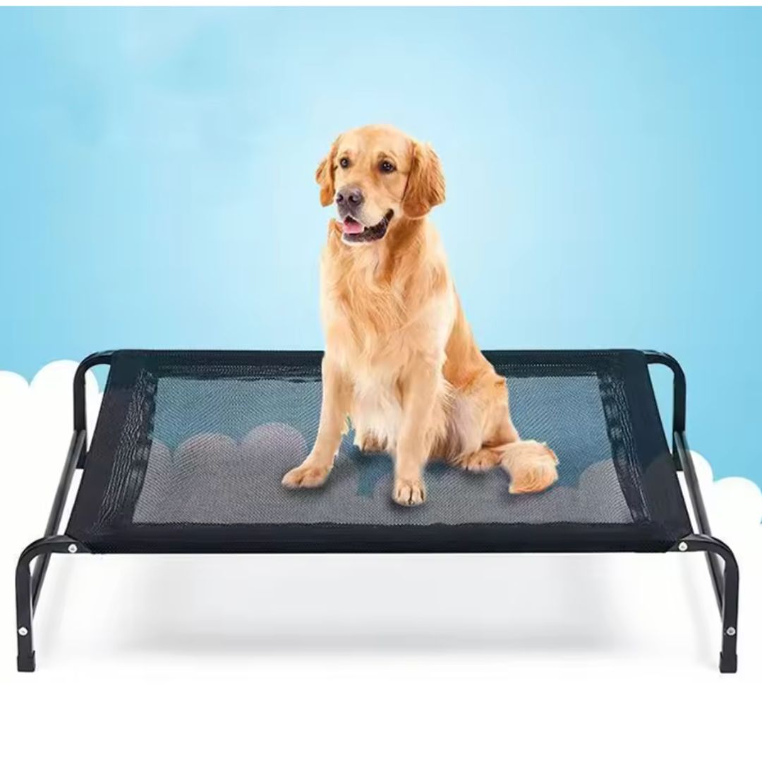 Chevaroo Elevated Orthopedic Dog Bed
