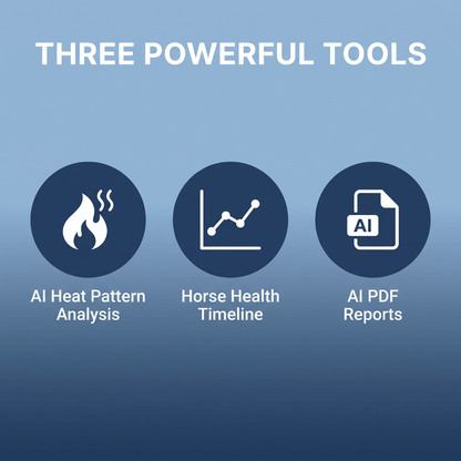 EquiOptimus AI Inflammation Detection & Analysis