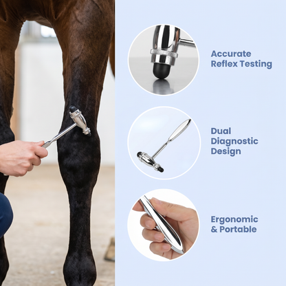 Chevaroo Reflex-Point Diagnostic Hammer