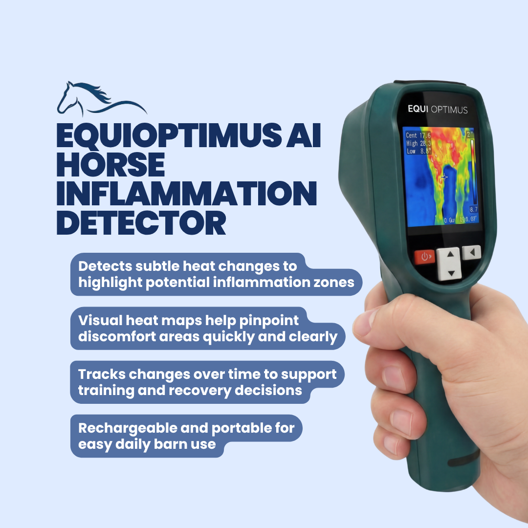 EquiOptimus AI Horse Inflammation Detector