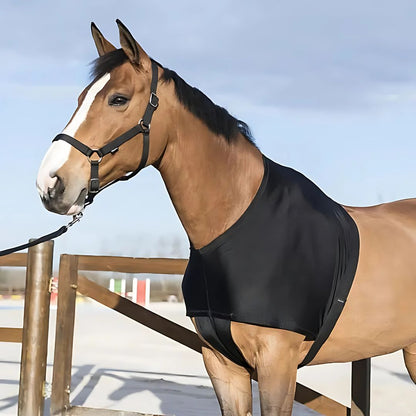 Chevaroo Horse Posture Corrector