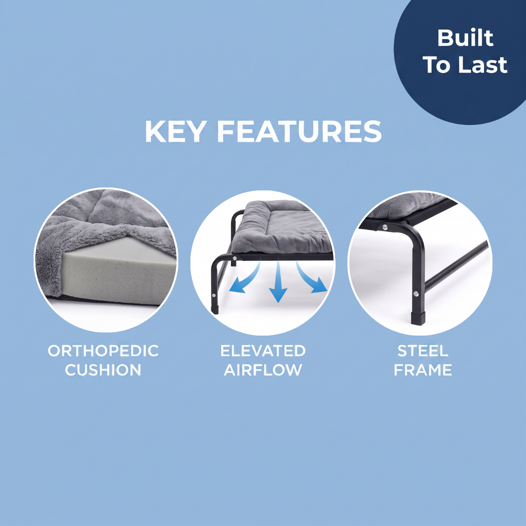 Chevaroo Elevated Orthopedic Dog Bed