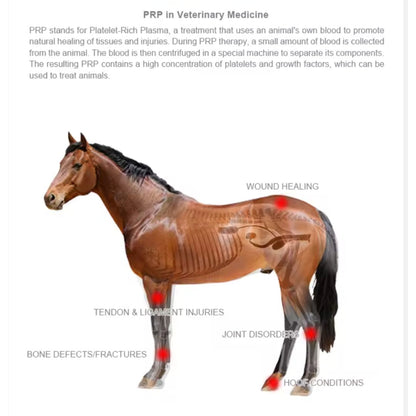 Chevaroo Horse Platelet Therapy for Joint & Tendon Repair